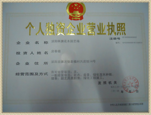 沭陽林洲花木園藝場(chǎng)